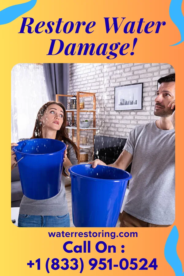 water restoration Atlas Sewage Cleanup Team Suring