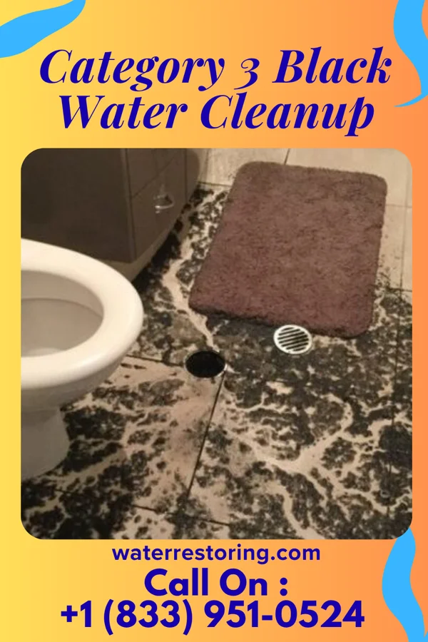 Category 3 Black Water Cleanup in Suring, WI