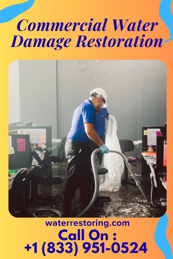 Commercial Water Damage Restoration in Suring, WI