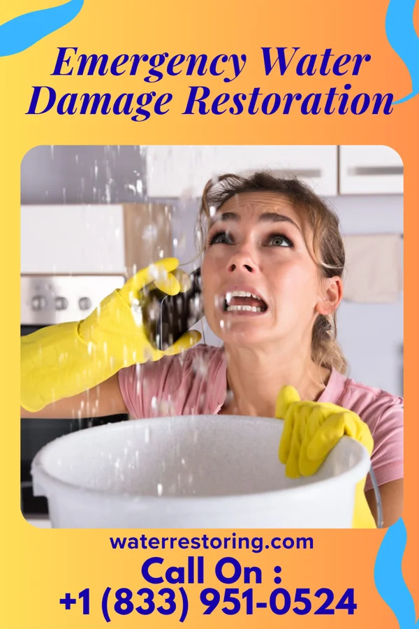 Emergency Water Damage Restoration in Suring, WI