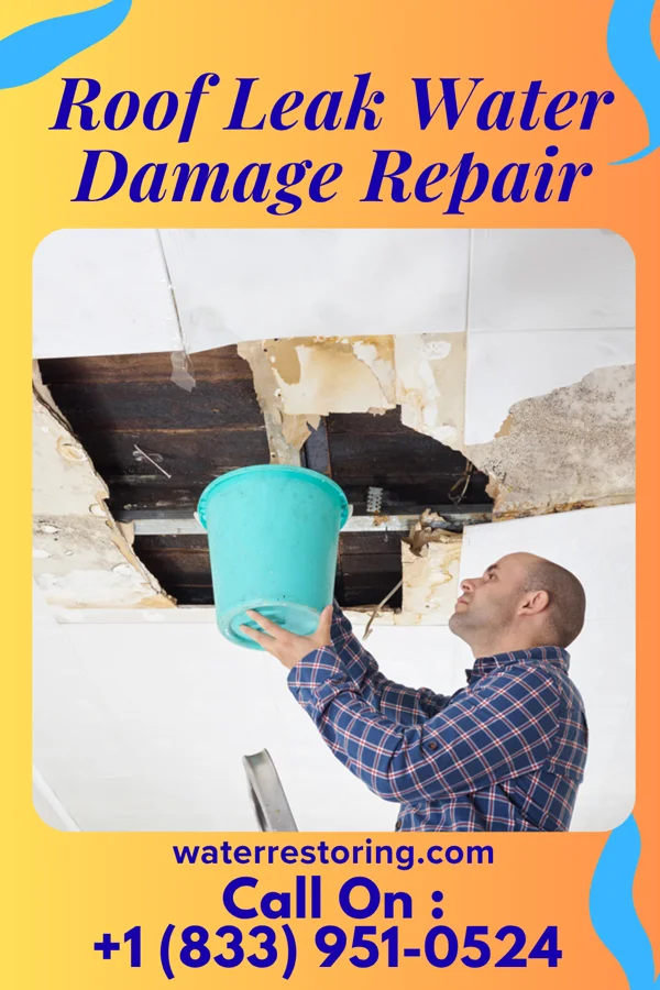 Roof Leak Water Damage Repair in Suring, WI
